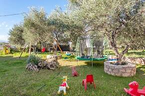 Olive Tree Farm