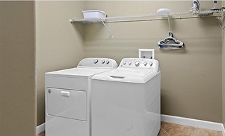 Paradise Palms-ru1083