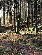 Holly Blue - Cosy Wooden Lodge, Kippford