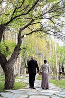 Organic Village Retreat