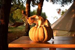 Glamping at a Lovely Tent in Skiaxtro- Marathopoli