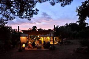 Glamping at a Lovely Tent in Skiaxtro- Marathopoli