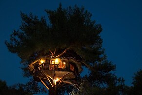 Stunning Treehouse 10 Mins From Sandy Beaches