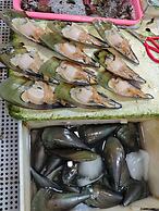 Grade Hotel Shenzhen Shekou Sea World