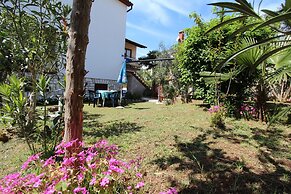 Apartments and Room Silvana