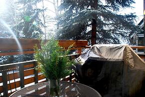 Sagewood Condos by iTrip Aspen Snowmass