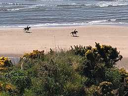 Woodston Fishing Station