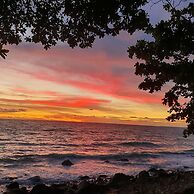 Penny Bangalow Resort