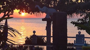 Penny Bangalow Resort