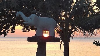 Penny Bangalow Resort