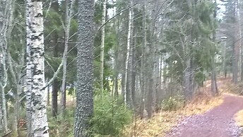 Stunning 1-bed Apartment in Luleå