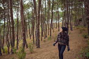 Storii By ITC Hotels Amoha Retreat, Dharamshala