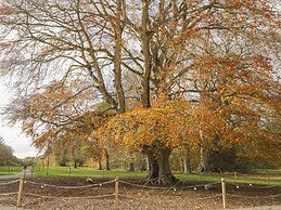 The Laird's Wing - Brodie Castle