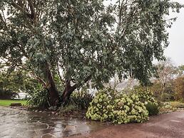 Inverewe - Garden Lodge