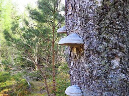 Bynack - Mar Lodge Estate