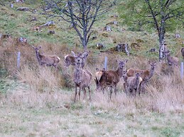 Braeriach - Mar Lodge Estate