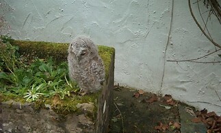Nest Barn