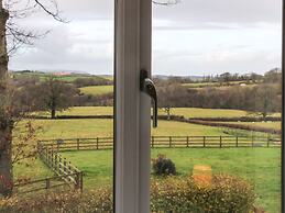 The Outlook