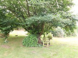 Mill Farm - The Farmhouse