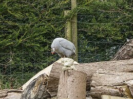 Keets at Middle Acre