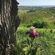 Aux Coteaux D'aussac