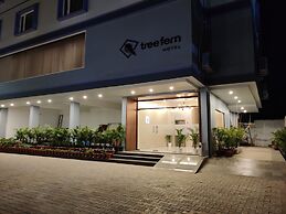 Hotel Tree Fern