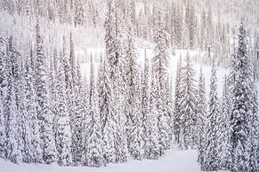 Miners Trail Road Home by iTrip Aspen Snowmass