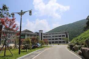 Sancheong Korean Medicine Family Hotel