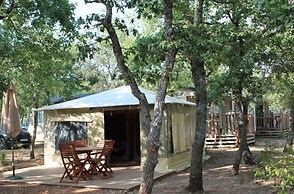 Domaine des Chênes Blancs - Camping