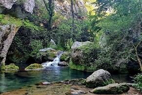 Domaine des Chênes Blancs - Camping