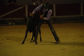 Domaine de la Vallée Heureuse