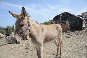 Nautilus Villa with private pool