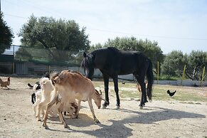 Nautilus Villa with private pool