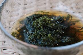 Private villa RESONANJO GRACE