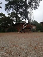 Esvida Hotel Beldibi