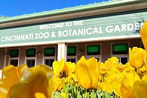 Oakley Square 3br Charmer - Total Walkability 3 Bedroom Home by RedAwn