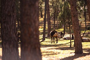 Huge Ruidoso W/ Game Room, Pool, 2 Balconies, 2 Kitchens - Sleeps 17!