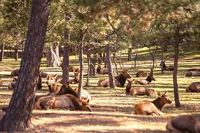 Huge Ruidoso W/ Game Room, Pool, 2 Balconies, 2 Kitchens - Sleeps 17!