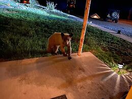 Valentine's Northern New Mexico Mountain Ranch On Colorado Border 2 Be