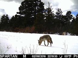 Old Raton Pass Base Camp With Loft Northern New Mexico Mountain Ranch