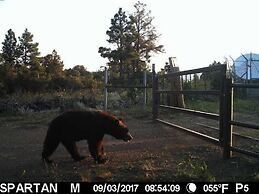 Old Raton Pass Base Camp With Loft Northern New Mexico Mountain Ranch