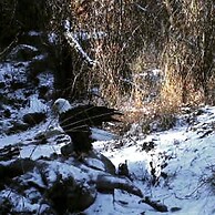 Old Raton Pass Base Camp With Loft Northern New Mexico Mountain Ranch