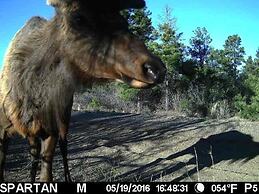 Old Raton Pass Base Camp With Loft Northern New Mexico Mountain Ranch