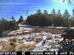 Old Raton Pass Base Camp With Loft Northern New Mexico Mountain Ranch
