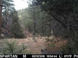 Old Raton Pass Base Camp With Loft Northern New Mexico Mountain Ranch