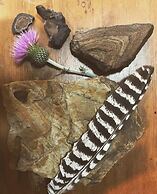 Old Raton Pass Base Camp With Loft Northern New Mexico Mountain Ranch