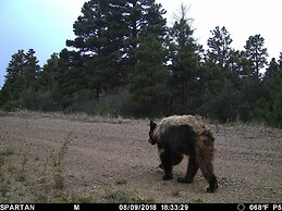 Old Raton Pass Base Camp With Loft Northern New Mexico Mountain Ranch