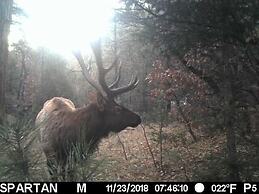 Old Raton Pass Base Camp With Loft Northern New Mexico Mountain Ranch