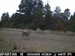 Old Raton Pass Base Camp With Loft Northern New Mexico Mountain Ranch