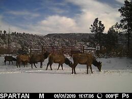 Old Raton Pass Base Camp With Loft Northern New Mexico Mountain Ranch